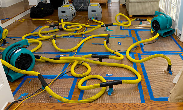 Professional Basement Flood Cleanup technician working in Vernon, WI